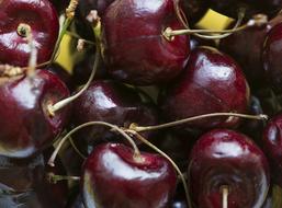 Sweet cherry juicy in a box