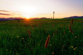 Sunset Sun Nature