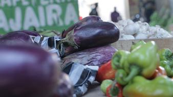 Fresh peppers and eggplant