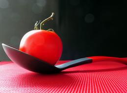 fresh tasty tomato