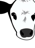 cow moo farm face head milk