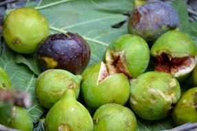 delicious tropical fruits