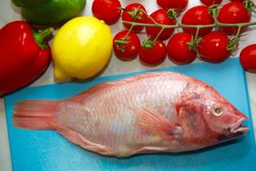 red fish on the board
