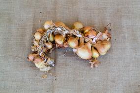 braid of onions