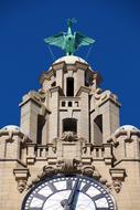 Liver Bird Building Clock