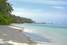 Seychelles Praslin Sand