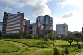 Houston City Skyline