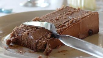 spoon in a soft coffee cake