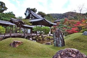 china village green meadow