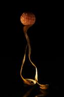 ripe tangerine with peel on a black background