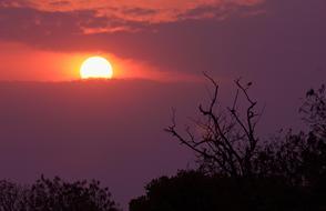 Sunset Orange Sky