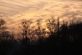 In The Evening Autumn Sunset