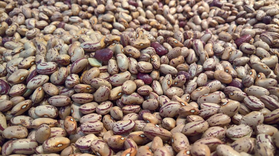 Healthy ripe grains