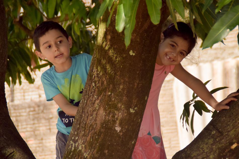 Children on tree
