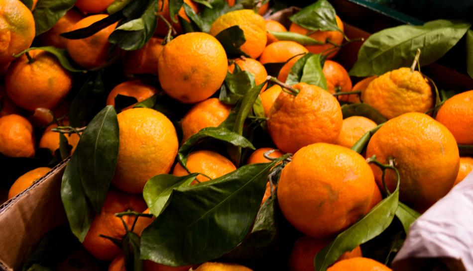 ripe oranges in leaves