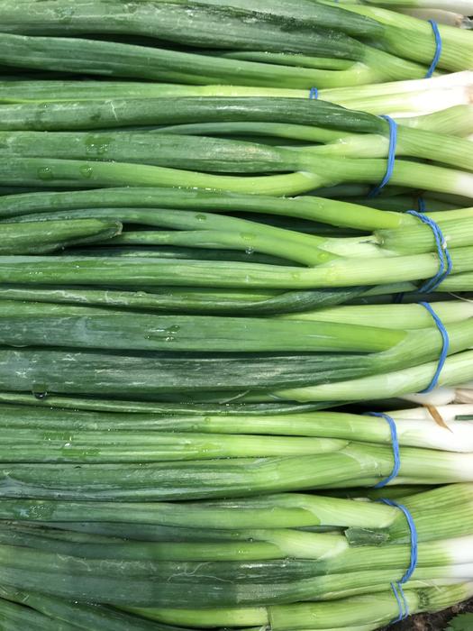 green onions tied