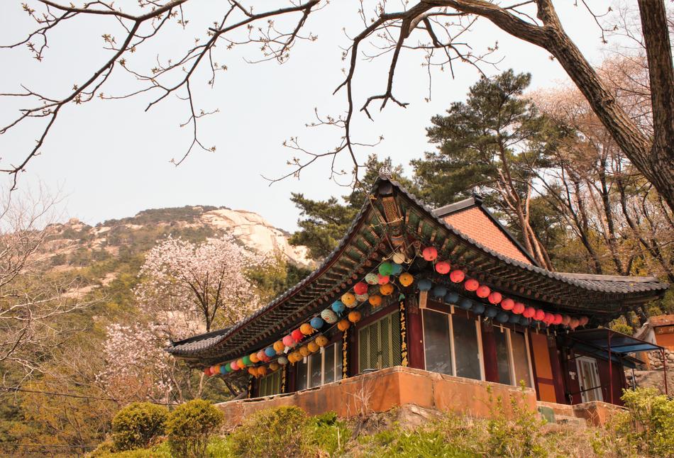 old chinese building on the grass