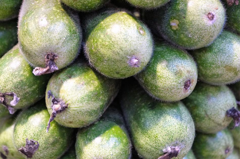 ripe large vegetables