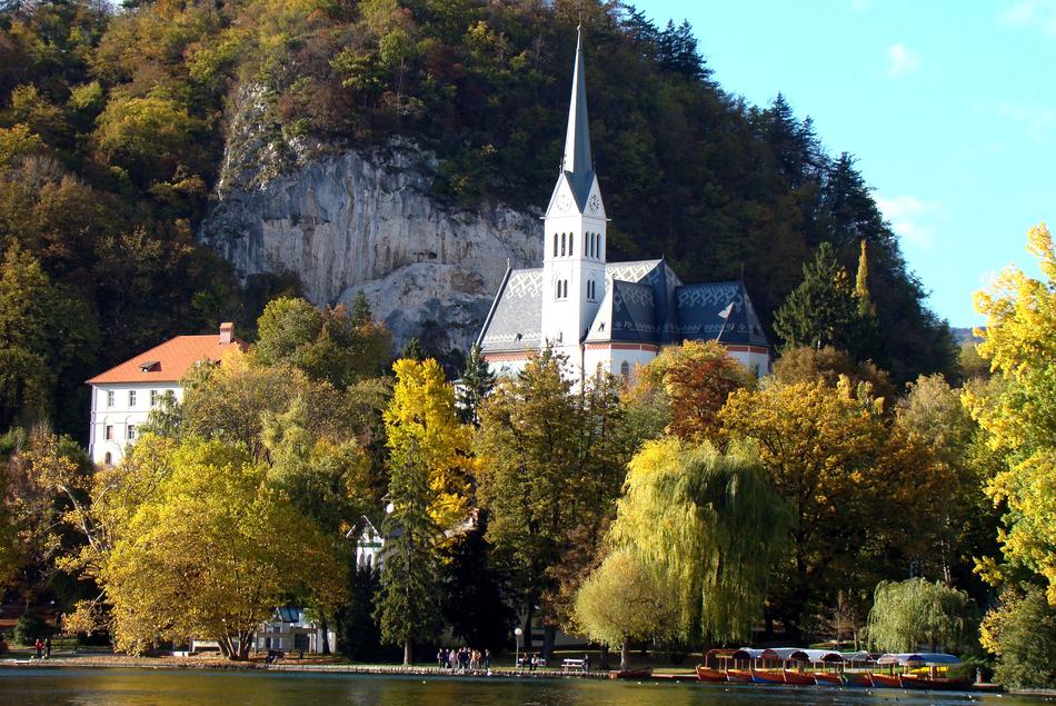 Tree Church Fall