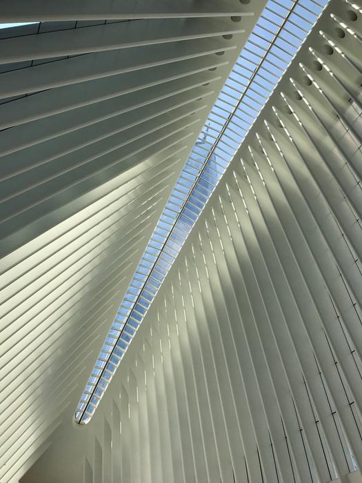 Oculus Ceiling Freedom Tower