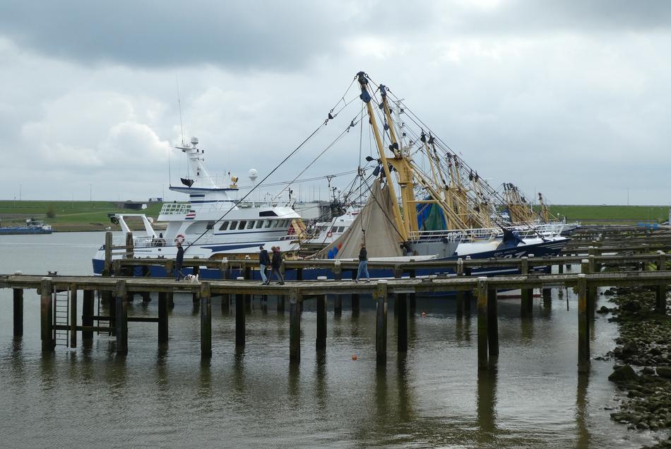 Fisheries Fishing Boats in Port