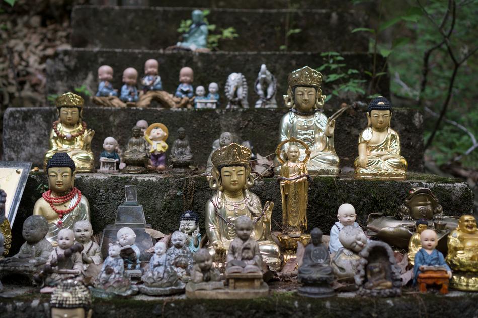 Buddhism Buddha Temple