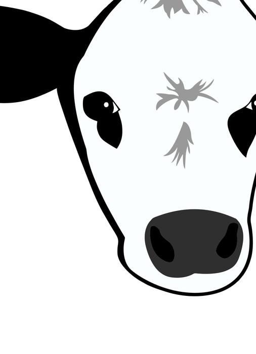cow moo farm face head milk