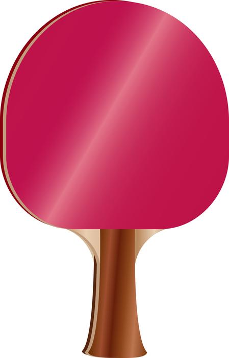 pingpongpaddle pingpong paddle game