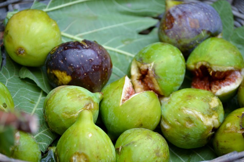 delicious tropical fruits