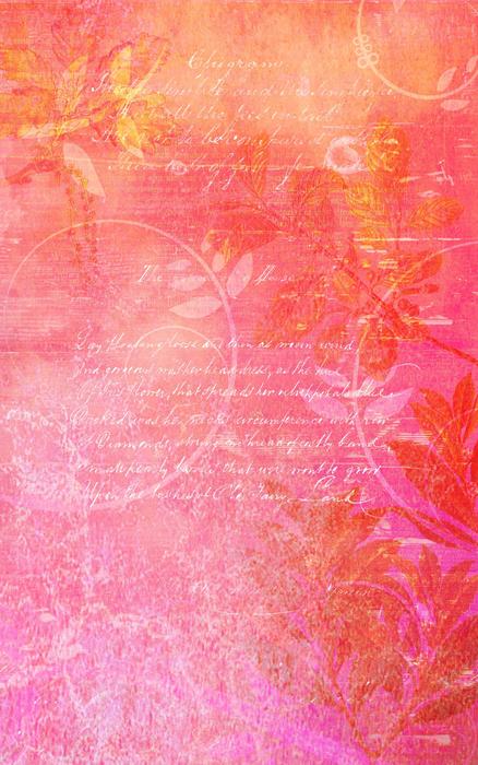 texture background plants surface