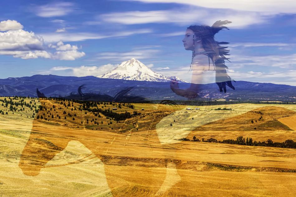 Oregon Native Horse