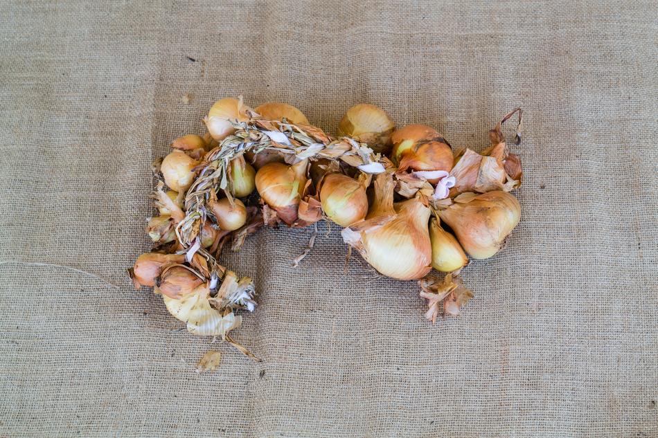 braid of onions