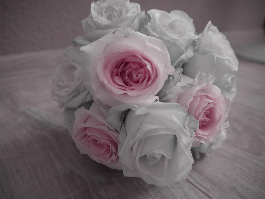 bouquet of white pink roses for a wedding