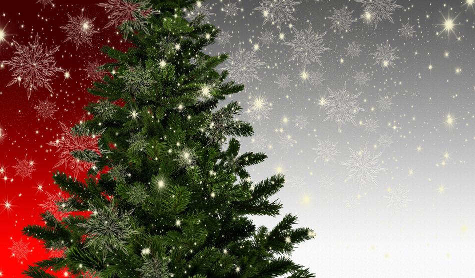 Christmas Fir Tree Mockup