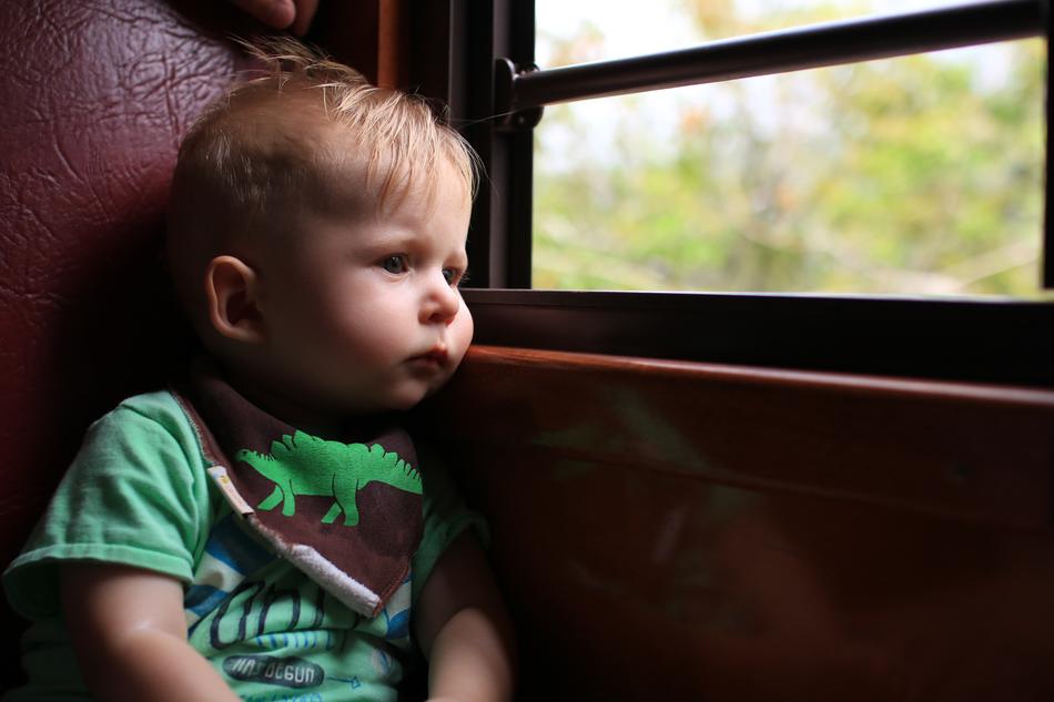 plump-cheeked Child Boy at Window in train