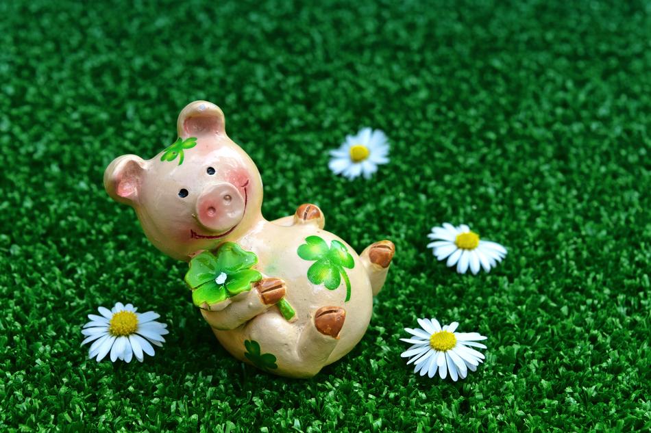 Lucky Pig Figures in garden