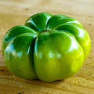 unripe green tomato
