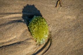 Beach Sand Sea