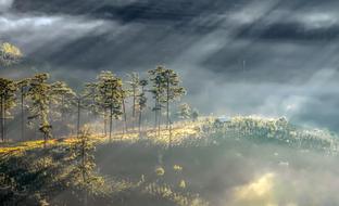 Dalat Vietnam Scenery