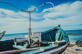 Boat Sea Life