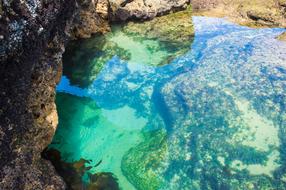 Sea Water Life