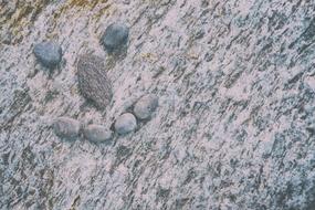 white stones background view