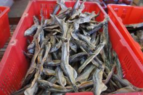 Dried fish in a box