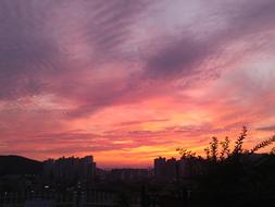 Evening Glow