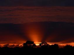 Sunset Evening Sky Backlighting