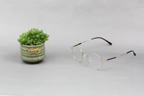 glasses by the green pot