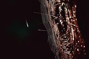 Cobweb Networking Spin Threads