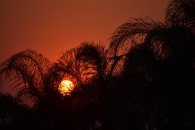 Sunset Nature Landscape