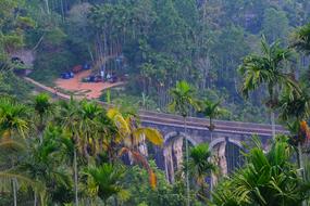 Sri Lanka Travel Nature