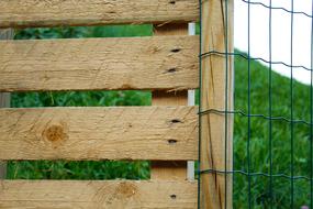 Fence Wood macro